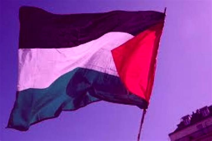 Alice, 24 — Escort in Az Zuwaydah, Palestine
