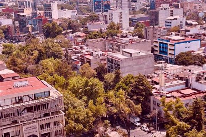 Alice, 24 — Escort in Colonia Rafael Corrales Ayala, Mexico