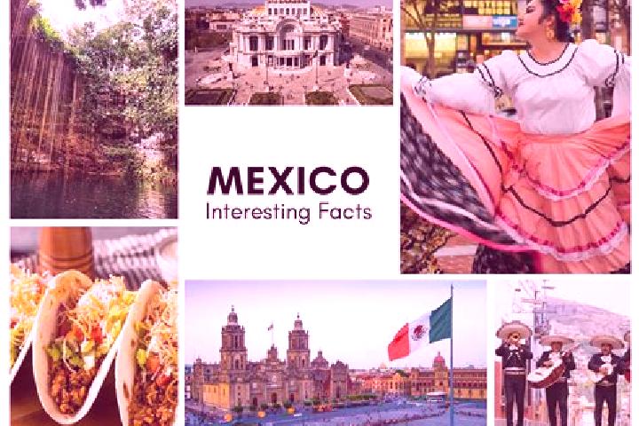 Alice, 24 — Escort in Cuauhtamingo, Mexico