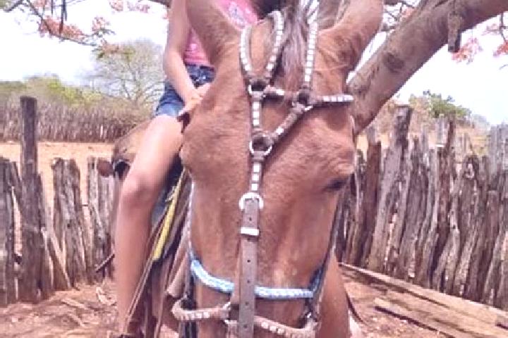 Alice, 24 — Escort in Itaueira, Brazil