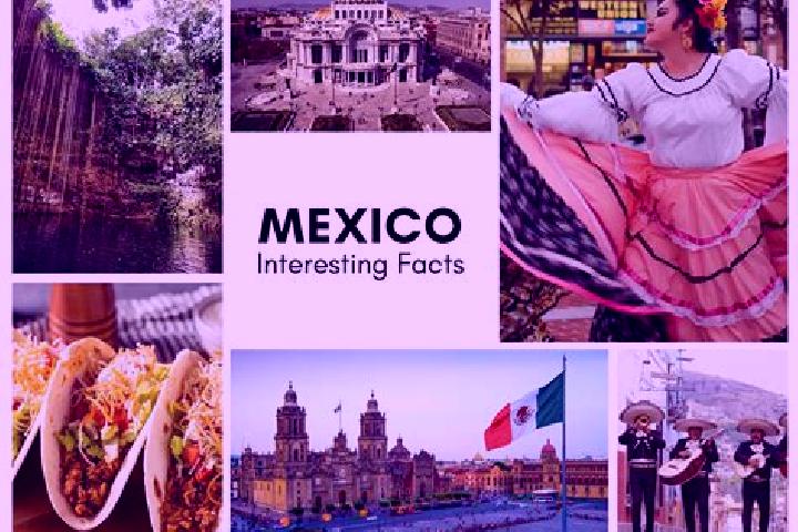 Alice, 24 — Escort in Tecpatlan, Mexico