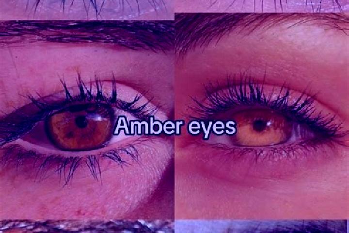 Alice, 25, a brunette amber-eyed middle eastern companion based in Kanganpur. Offering Tantra, Duos, Overnight, Striptease. Available for incall and outcall,...