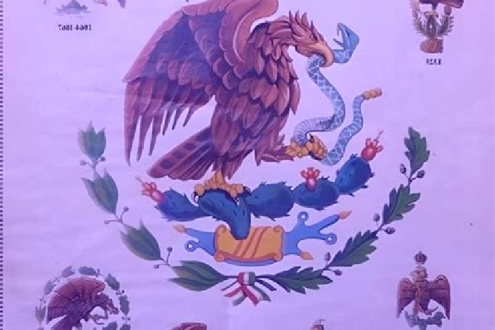 Alice, 25 — Escort in Batalla Nacional, Mexico