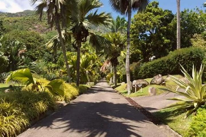 Alice, 25 — Escort in Bel Ombre, Seychelles