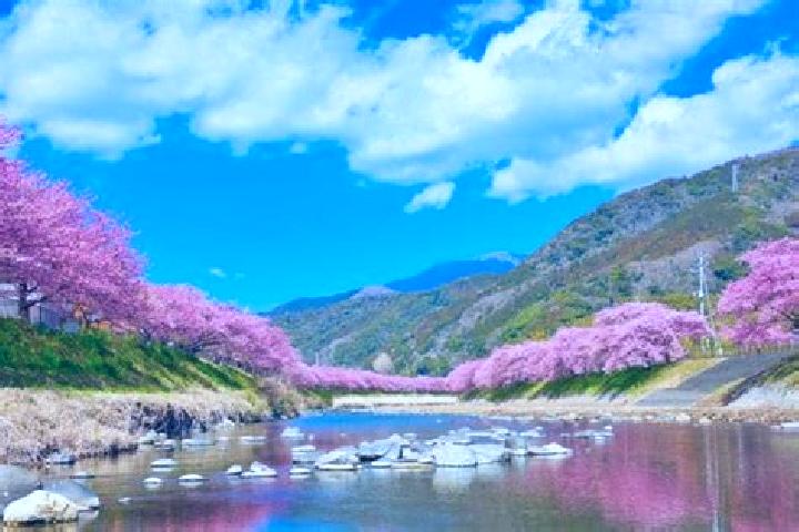 Alice, 25 — Escort in Kawazu-ikadaba, Japan
