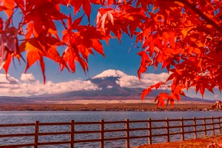 Alice, 25 — Escort in Myoko, Japan