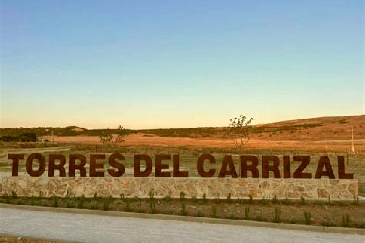 Alice, 25 — Escort in Torres del Carrizal, Spain
