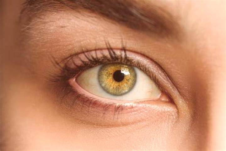 Alice, 26, a black hazel-eyed mixed companion based in Toltepec. Offering Fetish, Couples, Prostate Massage. Available for incall and outcall, overnight book...