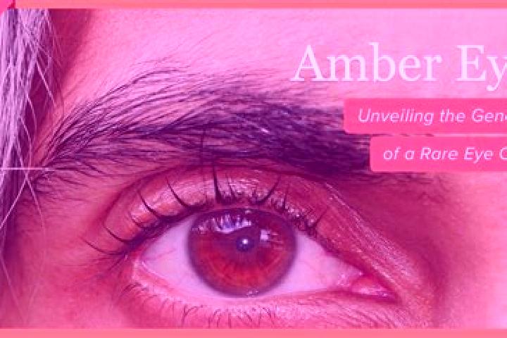 Alice, 26, a red amber-eyed caucasian companion based in Caytepe. Offering BDSM, OWO, Dinner Date. Available for incall and outcall, overnight bookings avail...