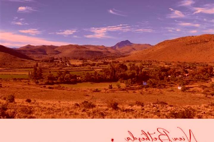 Alice, 26 — Escort in Nieu-Bethesda, South Africa