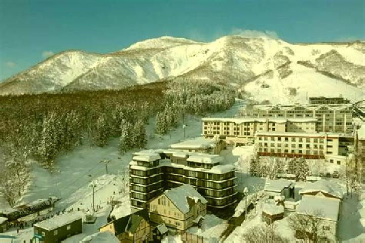 Alice, 26 — Escort in Niseko Town, Japan