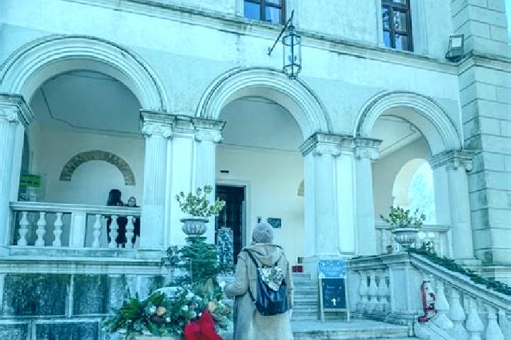 Alice, 27 — Escort in Collofedo di Monte Albano, Italy