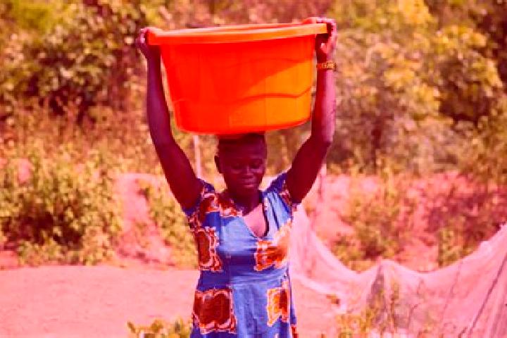 Alice, 27 — Escort in Kouango, Central African Republic