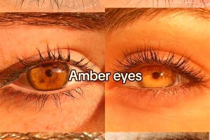 Alice, 28, a chestnut amber-eyed mediterranean companion based in Ash Vale. Offering CIM, 69, OWO, GFE. Available for incall and outcall, overnight bookings ...