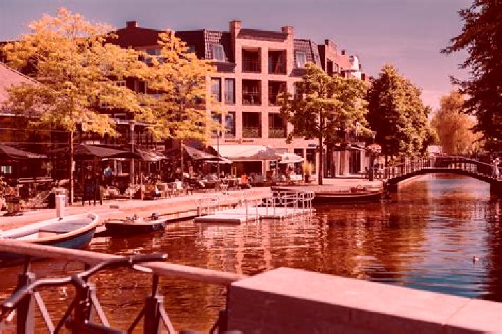 Alice, 28 — Escort in Alphen aan den Rijn, Netherlands