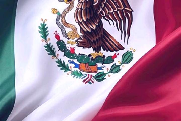 Alice, 28 — Escort in La Patria, Mexico