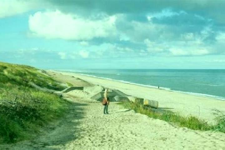 Alice, 28 — Escort in Solrod Strand, Denmark