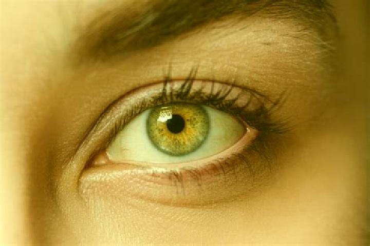 Alice, 29, a black hazel-eyed mixed companion based in Julian Grajales (San Antonio). Offering Tantra, Duos, Party Girl. Available for incall and outcall, da...