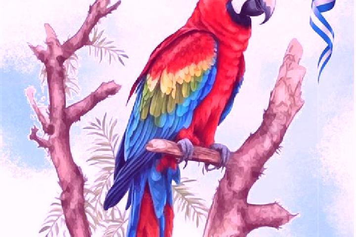 Alice, 29 — Escort in Guacamaya, Honduras
