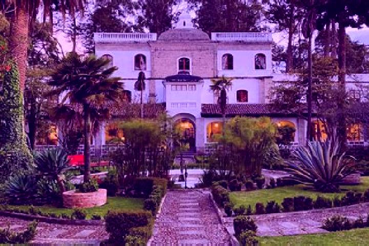 Alice, 29 — Escort in La Cienega, Mexico