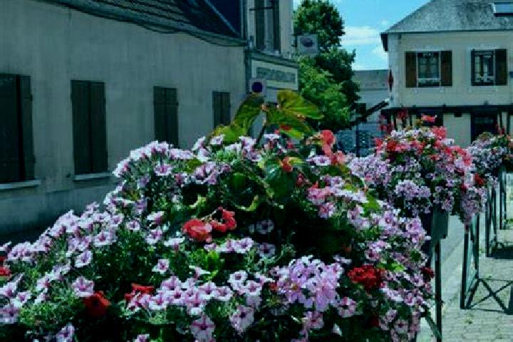 Alice, 29 — Escort in Les Essarts, France