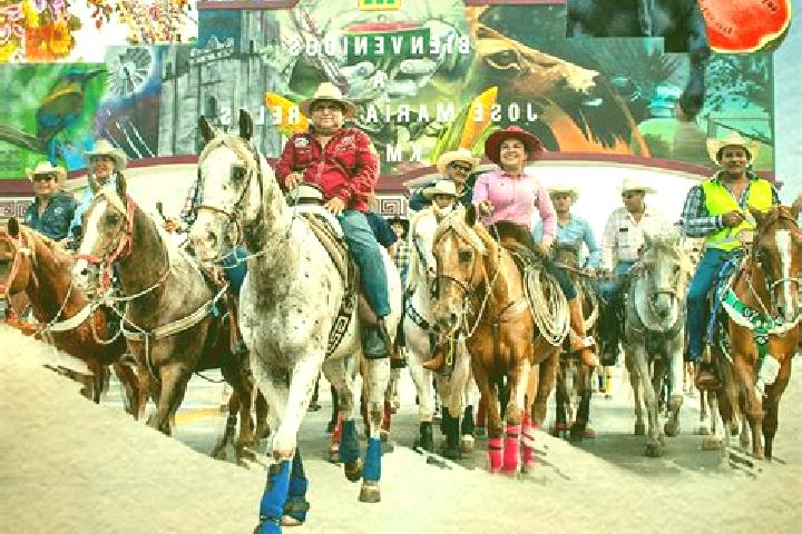 Alice, 29 — Escort in Tamazula, Mexico