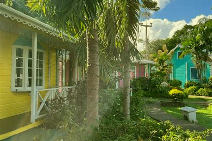 Alice, 30 — Escort in Holetown, Barbados