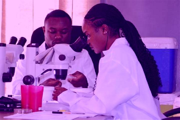 Alice, 30 — Escort in Kaoma, Zambia