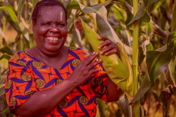 Alice, 30 — Escort in Maracha, Uganda