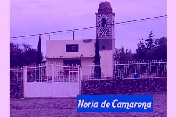Alice, 30 — Escort in Noria de Camarena, Mexico