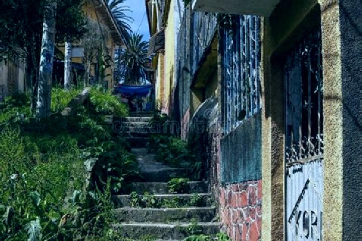 Alice, 31 — Escort in Coroico, Bolivia