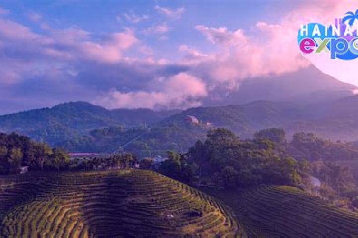 Alice, 31 — Escort in Wuzhi, China