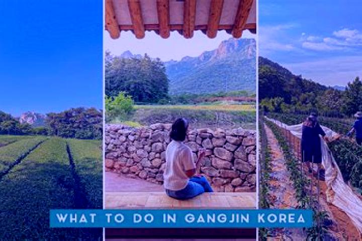 Alice, 32 — Escort in Gangjin, South Korea