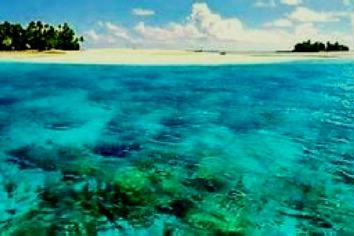 Alice, 33 — Escort in Banana, Kiribati