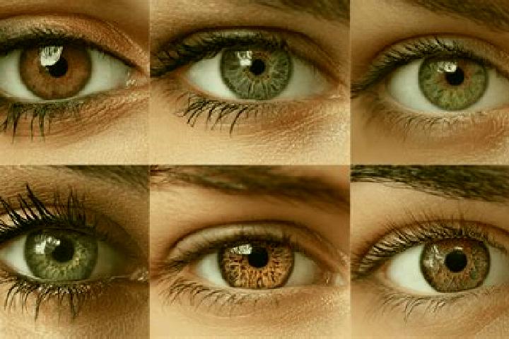 Alice, 34, a red hazel-eyed ebony companion based in Change. Offering Massage, BDSM, A-Level. Available for incall and outcall, day and evening dates.