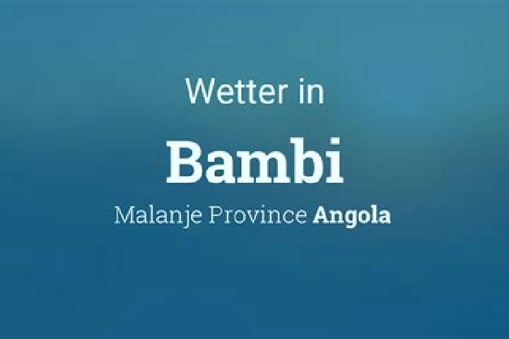Alice, 34 — Escort in Bambi, Angola