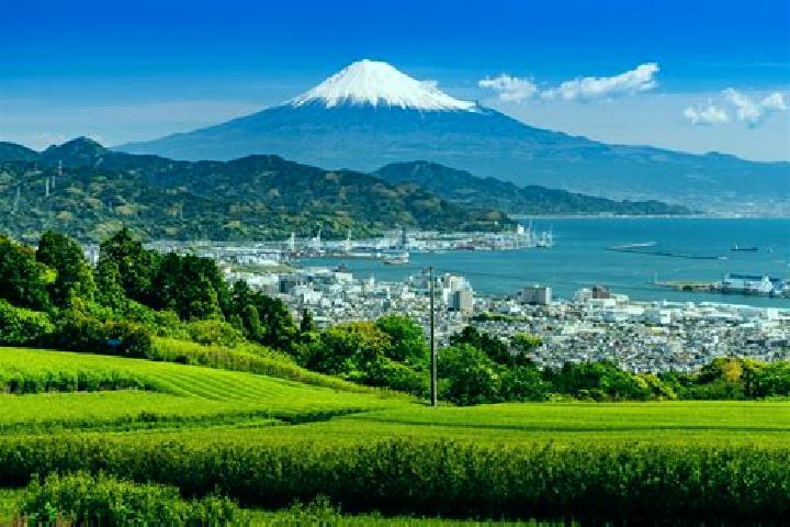 Alice, 34 — Escort in Izunokuni, Japan