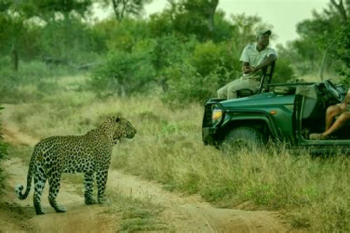 Alice, 34 — Escort in Sabi-Sand Game Reserve, South Africa