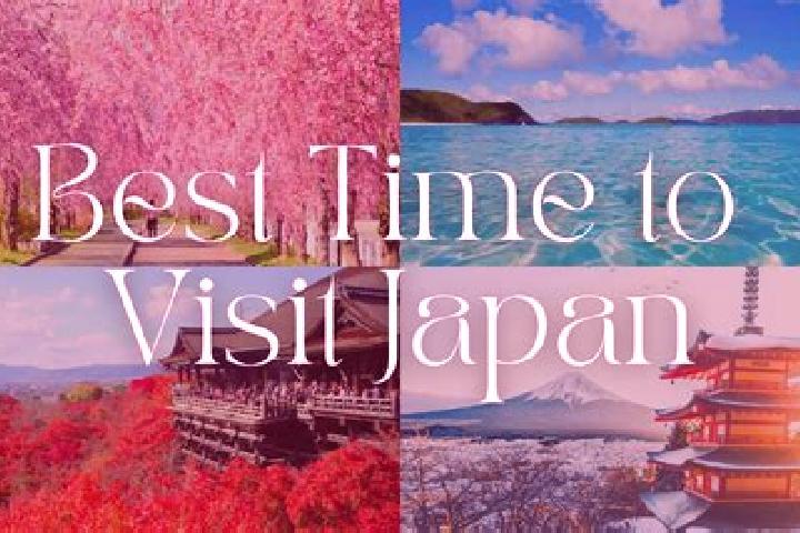 Alice, 34 — Escort in Tabata, Japan
