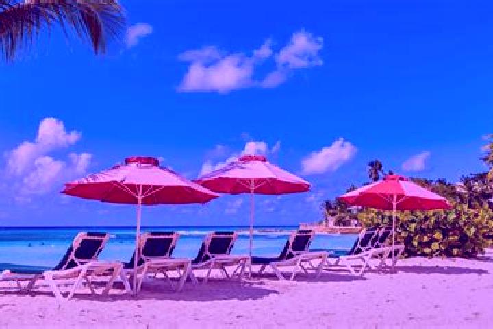 Alice, 35 — Escort in Blackmans, Barbados