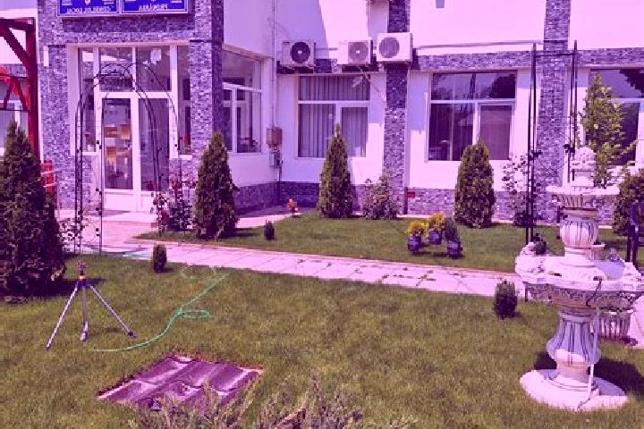 Alice, 35 — Escort in Ologeni, Romania