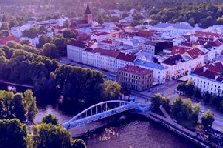 Alice, 35 — Escort in Tartu, Estonia