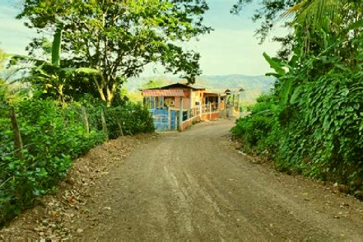 Alice, 35 — Escort in Wiwili, Nicaragua