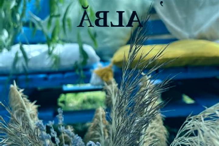 Alice, 36 — Escort in Balta Alba, Romania