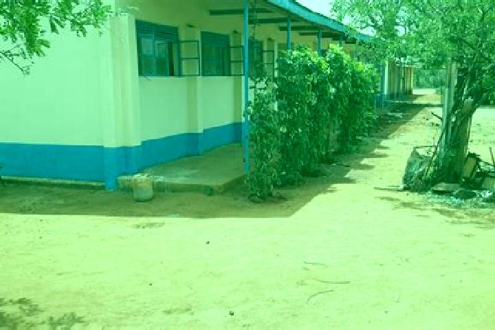 Alice, 36 — Escort in Kibwezi, Kenya