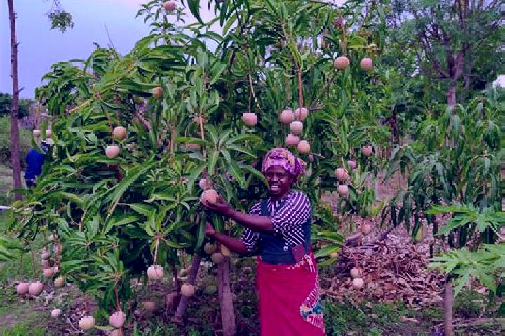 Alice, 36 — Escort in Kitui, Kenya