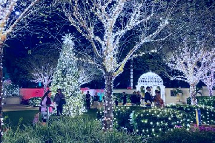 Alice, 36 — Escort in Winter Gardens, United States
