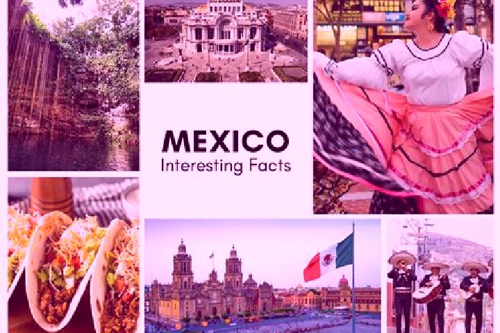 Alice, 36 — Escort in Yalchitom, Mexico