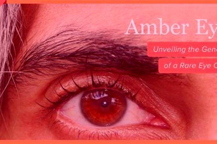 Alice, 37, a red amber-eyed middle eastern companion based in Stepanky. Offering Roleplay, Duos, Erotic Massage, BDSM. Available for incall and outcall, day ...