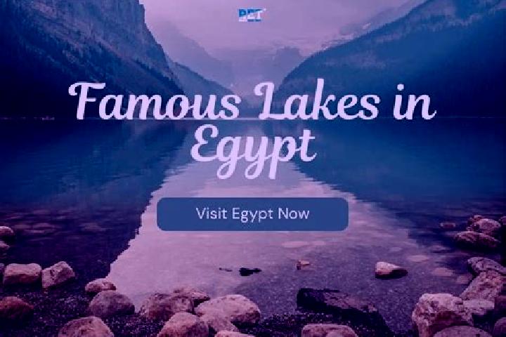 Alice, 37 — Escort in Bush, Egypt